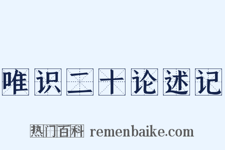唯识二十论述记是什么意思的图片